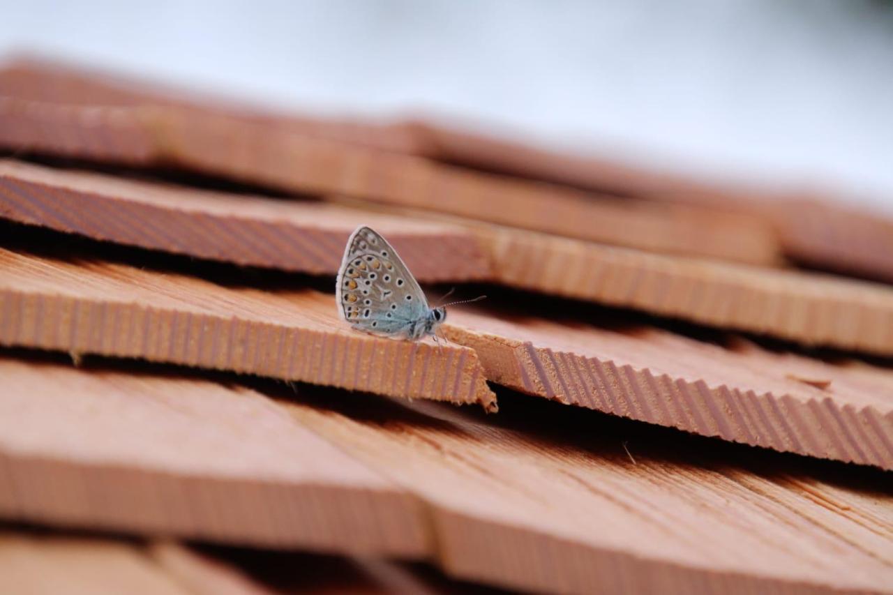 L'Insolite Jurassienne Dompierre-sur-Mont ภายนอก รูปภาพ